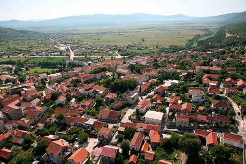 Panorama grada i Petrovog polja 